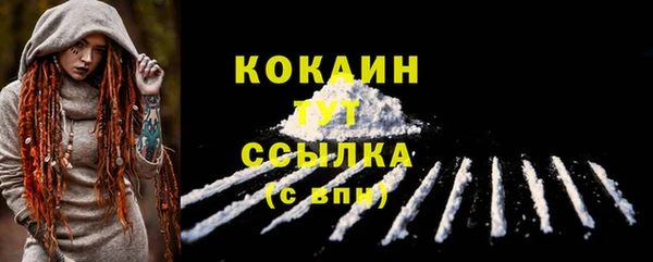 кокс Арсеньев