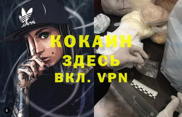 кокс Арсеньев